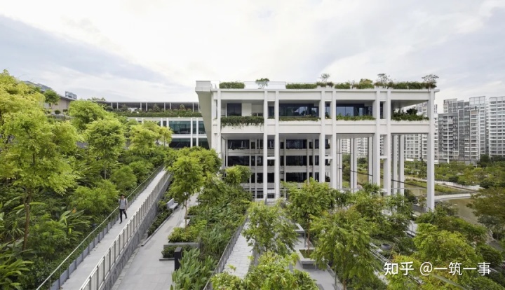 社區(qū)文化墻主題_幼兒園主題墻主題名字_幼兒園主題墻飾設計